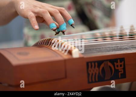 Belgrad, Serbien. April 2024. Ein Student praktiziert Guzheng (chinesische Zither) am China Cultural Center in Belgrad, Serbien, 29. April 2024. Das China Cultural Center in Belgrad, das gemeinsam vom chinesischen Ministerium für Kultur und Tourismus und der Provinzregierung von Shandong errichtet wurde, wurde kürzlich für die Öffentlichkeit geöffnet. Das Zentrum erstreckt sich über eine Fläche von 6.000 Quadratmetern und bietet Kurse in chinesischer Sprache, traditionellen chinesischen Musikinstrumenten, chinesischer Kalligraphie und Tai Chi an. Quelle: Li Jing/Xinhua/Alamy Live News Stockfoto