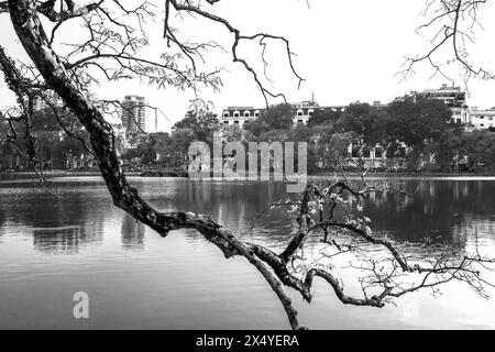 Zweig der Blätter mit Turtle Tower auf dem Grund des Ho Guom Lake, dem Zentrum von Hanoi, wunderschöne Landschaft im Frühling Stockfoto