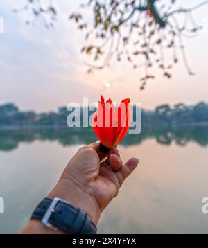 Bombax Ceiba an Hand und uralten Bäumen Silhouette bei Sonnenuntergang Hintergrund macht Malen mehr rustikale Schönheit der Landschaft Vietnam Stockfoto