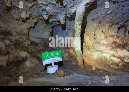 Stalaktit genannt „Königssäule“ in der Akiyoshido-Höhle. Akiyoshidai Quasi-Nationalpark. Stockfoto