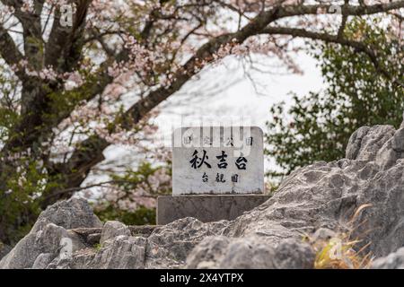 Akiyoshidai Karstplateau. Akiyoshidai Quasi-Nationalpark. Präfektur Yamaguchi, Japan. Stockfoto