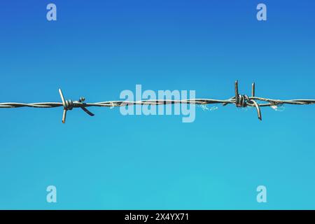 Scharfer Stacheldraht vor blauem Himmel, Eindämmungs- und Gefangenheitskonzept, selektiver Fokus Stockfoto