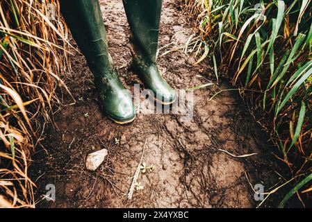 Schmutzige Gummistiefel in matschigem Boden, Bauer steht nach Regen auf dem Feld, selektiver Fokus Stockfoto