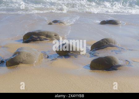 Steine am Sandstrand in Santa Cruz, Kalifornien, USA Stockfoto