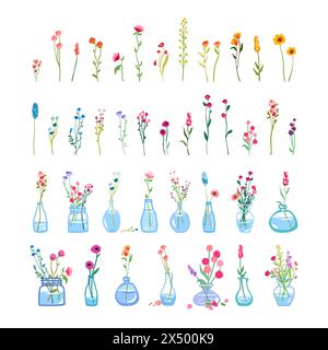 Großer Satz von zarten anmutigen Wildblumen Glasvase hohe Stiele Laub einfache florale Elemente Wilde Pflanzen isolierter weißer Hintergrund flache Vektor-Illustration niedlich Stock Vektor