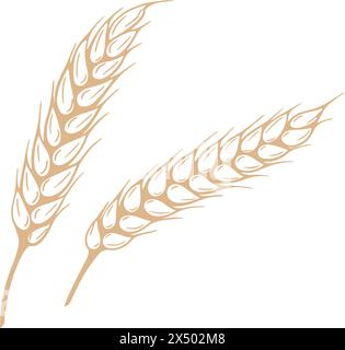 Skizzieren von Vektorgrafiken für ausgereifte Spikelets Stock Vektor