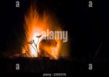 Eine Lagerfeuer-Nahaufnahme, langsame Verschlusszeit, Silhouette von Pflanzen auf dem Hintergrund von Feueraufnahme 2 Stockfoto