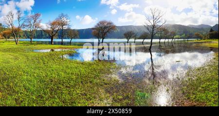 Azoren See von Sete Cidades mit Baum im Wasser reflektiert und Sonne, auf der Insel Sao Miguel, Portugal Landschaft Stockfoto