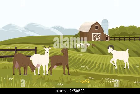Ziegenfarm. Bauernhof mit Milchtieren, Hütte mit männlichen und weiblichen Ziegen, Bio-Bauernhof für Milchmilchproduktion Stock Vektor