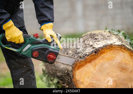 Ein Mann in Uniform schneidet einen alten Baum im Hof mit einer elektrischen Säge Stockfoto