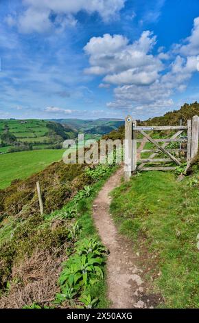 Offa's Dyle auf Panpunton Hill mit Blick auf das Teme Valley bei Knighton, Powys, Wales (aber auf der Shropshire-Seite der Grenze) Stockfoto