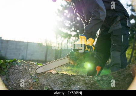 Ein Mann in Uniform schneidet einen alten Baum im Hof mit einer elektrischen Säge Stockfoto