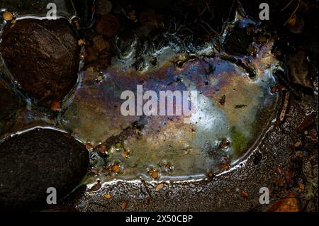 Eine ölige Substanz schwimmt auf etwas Wasser, das Wasser kann jetzt nicht mehr zum Trinken verwendet werden. Stockfoto