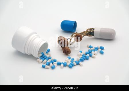 Werden Psilocybintrüffel und Zauberpilze die Zukunft für die Behandlung von Depressionen und Angstzuständen sein? Bild von Psilocybinpilzen neben Medikin. Stockfoto