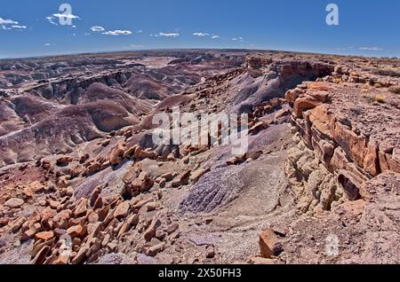 Zerbröckelnde Klippen einer mesa in der Nähe von Hamilili Point am südlichen Ende des Petrified Forest National Park, Arizona, USA Stockfoto