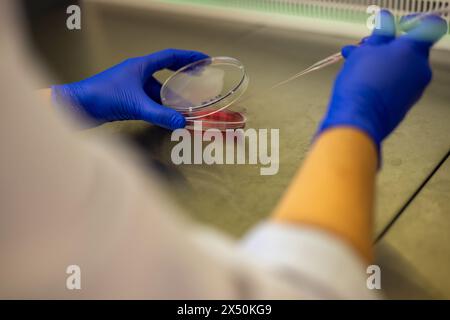 Zelluläre Forschung Stockfoto