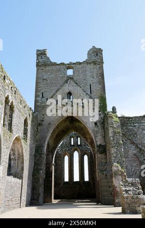 Dunbrody Abbey, Campile, Co. Wexford, Irland Stockfoto