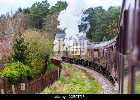 Kleiner Praire-Tank-Motor der Klasse 4575 Nr. 5541 (Baujahr 1928), der einen Touristenzug auf der Dean Forest Railway in Richtung Whitecroft Station in Glos zieht. UK Stockfoto