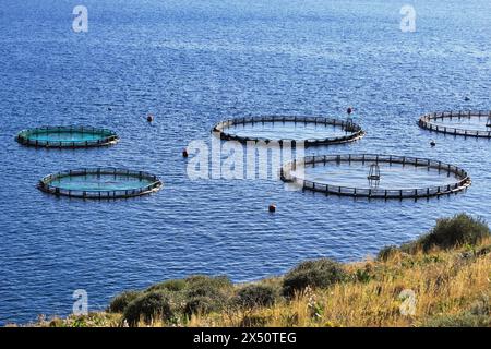 Aquakultursiedlung, Fischfarm mit schwimmenden Kreiskäfigen rund um die Bucht von Attika in Griechenland. Stockfoto