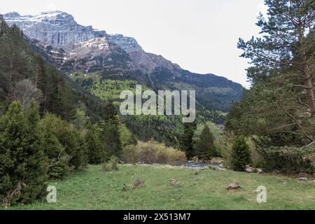 Ruhige Landschaft mit Grün, Bäumen und schneebedeckten Berggipfeln unter bewölktem Himmel Stockfoto
