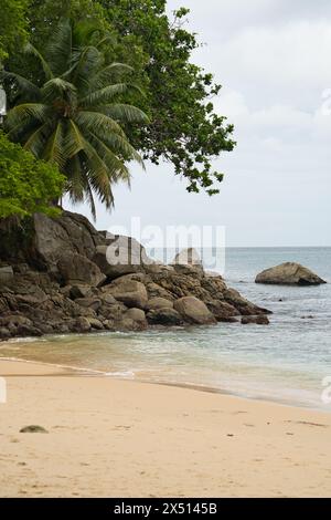 Granitsteine und Bäume in der Nähe des weißen Sandstrandes von Top Soilei, ruhiges Meer, Mahe Seychellen Stockfoto