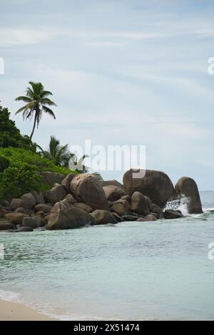 Granitsteine und Bäume in der Nähe des weißen Sandstrandes von anse Forbans, ruhiges Meer, Mahe Seychellen Stockfoto