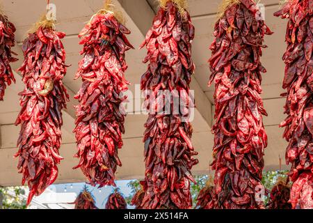 Nahaufnahme von getrockneten Chili-Paprika, genannt Ristras, die an der Holzdecke in Albuquerque New Mexico hängen. Stockfoto