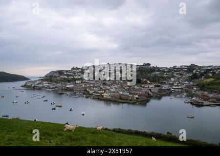 Blick auf Salcombe und Batson Creek, vom Snapes Point aus mit Schafen, die auf dem üppigen Gras von Snapes Point weiden. Stockfoto