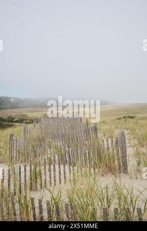 Holzzäune auf nebeligen Dünen am Nauset Beach auf Cape Cod Stockfoto