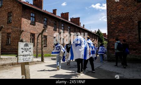 Besucher, die mit israelischen Fahnen bedeckt sind, besuchen Ausstellungen, während sie zum Marsch der Lebenden im Lager Auschwitz ankommen. Am 06. Mai 2024 nahmen 55 Holocaust-Überlebende in O?wi?cim, Polen, Teil. Holocaust-Überlebende und 7. Oktober-Überlebende nehmen am Marsch der Lebenden zusammen mit einer Delegation unter anderem aus den Vereinigten Staaten, Kanada, Italien, Vereinigtes Königreich. Am Holocaust-Gedenktag im jüdischen Kalender (Yom HaShoah) marschieren Tausende von Teilnehmern schweigend von Auschwitz nach Birkenau. Der marsch hat einen Aufklärungs- und Erinnerungszweck. Dieser März war hochpolitisch Stockfoto