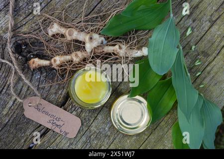 Salomonssiegel, Wurzelsalbe, Heilsalbe, Heilcreme, Creme, Salbe, Balsam, Wurzel, Wurzeln, Wurzelstock, Rhizom, Rhizome, Wurzelernte, Vielblütige Weißw Stockfoto