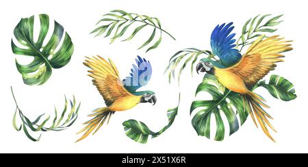 Tropische Palmenblätter, Monstera und Blüten von Plumeria, Hibiskus, hell saftig mit blau-gelbem Ara Papagei. Handgezeichnetes Aquarell Botanical Stockfoto