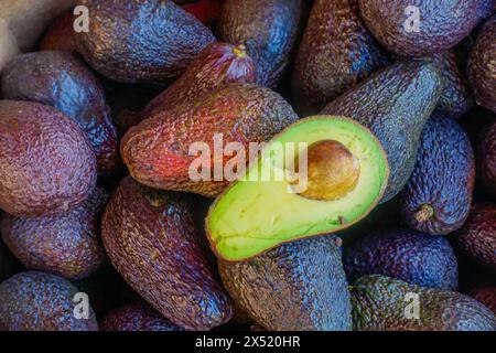 Frische Avocados und eröffnete eine auf einem lokalen Markt in der Provence, Frankreich Stockfoto