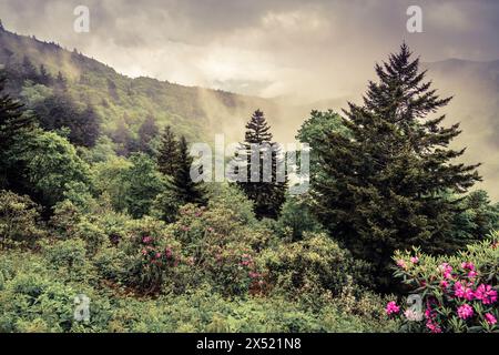 Panoramablick auf die Smokie Mountains vom Blue Ridge Parkway in der Nähe von Maggie Valley, North Carolina Stockfoto