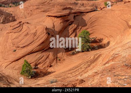 Eine Wanderung tief in das Monument Valley zeigt, wie Wasser- und Winderosion über Millionen von Jahren komplizierte Muster in dem weichen Sandstein bildet, der durch die Gegend gefunden wird Stockfoto