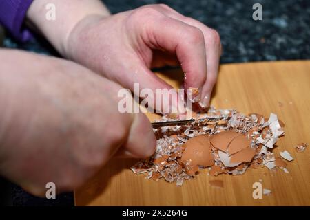 Chicken Egg Shells werden mit einem Messer Chard Somerset England uk gehackt Stockfoto