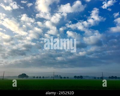 Eine Szene am frühen Morgen, in der sich ein blauer Himmel mit verstreuten flauschigen Wolken über eine nebelbedeckte Landschaft erstreckt. In der Ferne tauchen Silhouetten von Bäumen auf, mit einem Hauch von Grün am Feldrand, die ein Gefühl der Ruhe und den Beginn eines neuen Tages vermitteln. Morgentöne: Bewölkte Skyline über Nebelfeldern mit Bäumen. Hochwertige Fotos Stockfoto