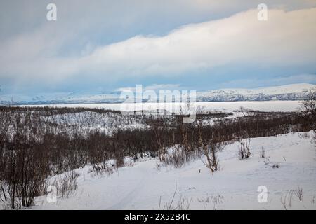 Der schneebedeckte Torneträsk-See in Nordschweden ist von Birkenwäldern umgeben Stockfoto