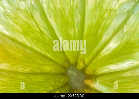 Makro eines abstrakten Essenshintergrundes der grünen Limette Stockfoto