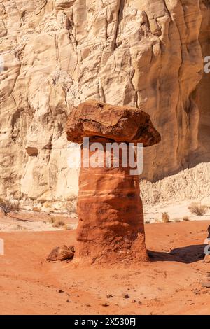 Weißer und roter Sandstein-Krötenhocker-Hoodoo in Kanab Utah mit stark erodierten Türmen und ausgewogenem, härterem Gestein auf der Spitze. Stockfoto