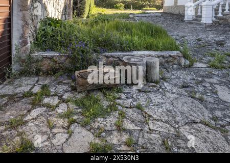 Einige Holzstümpfe in einem Garten mit Granitfelsen Stockfoto
