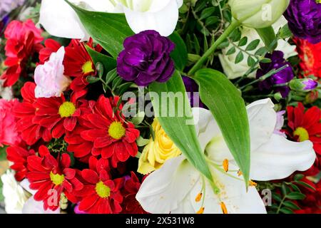 Buntes Bouquet aus weißer Lilie, (Lilium candidum) rote und lila Blumen, Blumenverkauf, Hamburg Hauptbahnhof, Hamburg, Hansestadt Hamburg Stockfoto