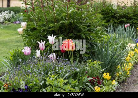 Blumenbeet in Goethes Garten, Weimar, Thüringen, Deutschland Stockfoto