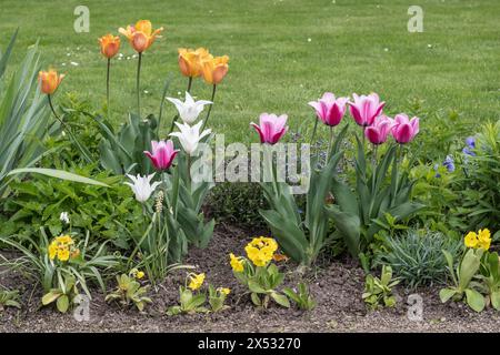 Blumenbeet in Goethes Garten, Weimar, Thüringen, Deutschland Stockfoto