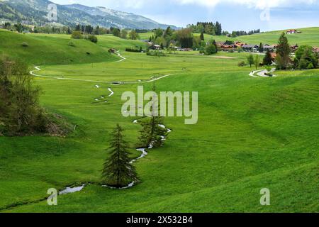 Blick auf kleine Bäche und Wiesen, in der Nähe von am Goldbach, Obermaiselstein, Oberallgaeu, Allgaeu, Bayern, Deutschland Stockfoto