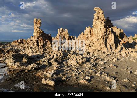 Am Ufer eines Sees erhebt sich Tuffstein, beleuchtet durch Abendlicht, Mono Lake, Nordamerika, USA, Südwesten, Kalifornien, Kalifornien Stockfoto