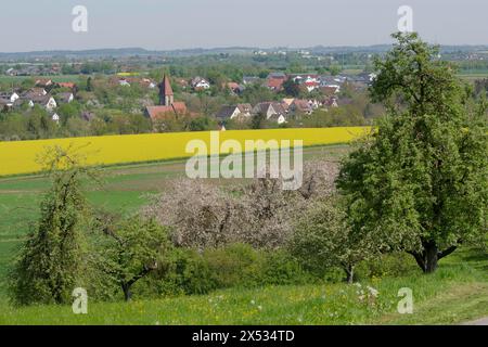 Frühling im Naturpark Schwäbisch-Fränkischer Wald bei Rosengarten-Sanzenbach, Obstblüten, Windkraft, Windkraftanlage, Windenergie Stockfoto