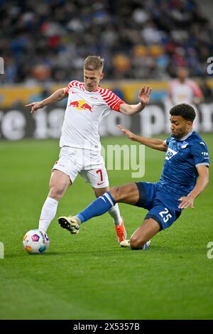 1:1, Action Dani Olmo RasenBallsport Leipzig RBL (07) gegen Kevin Akpoguma TSG 1899 Hoffenheim (25) PreZero Arena, Sinsheim Stockfoto