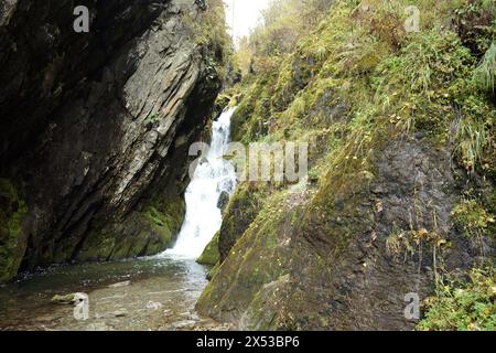 An einem bewölkten Herbsttag fließt ein gestufter Wasserfall in einem schnellen Bach aus einer Spalte in den Bergen. Estyuba Wasserfall, Altai, Sibirien, Russi Stockfoto