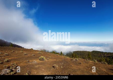 Der Wanderweg „Ruta de los volcanes“ (Route der Vulkane) auf der Insel La Palma (Kanaren, Spanien) Stockfoto